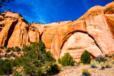 Betatakin Cliff Dwellings Tour