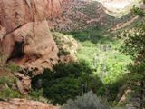 Canyon de Betatakin, vue de Aspen Trail