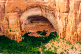 Betatakin Overlook