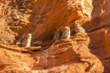 Owl Canyon