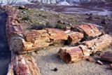 Petrified Forest National Park & Painted Desert