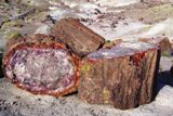 Photos/Images de Petrified Forest National Park &amp; Painted Desert