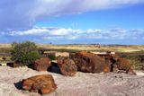 Photos/Images de Petrified Forest National Park &amp; Painted Desert
