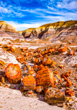 Blue Mesa Trail