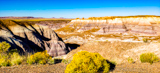 Blue Mesa