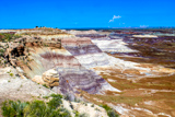 Blue Mesa Trail