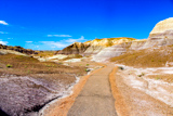 Blue Mesa Trail