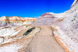 Blue Mesa Trail