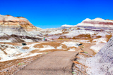 Blue Mesa Trail