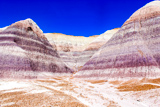 Blue Mesa Trail