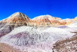 Blue Mesa Trail