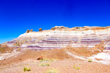 Blue Mesa Trail