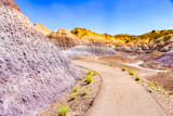 Blue Mesa Trail