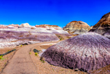 Blue Mesa Trail