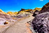 Blue Mesa Trail
