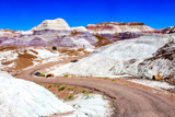 Blue Mesa Trail