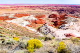 Painted Desert Rim Trail