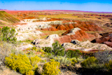 Painted Desert Rim Trail