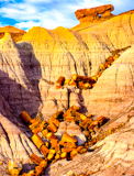 Blue Mesa Trail