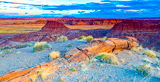 Petrified Forest NP