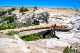 Agate Bridge