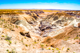 Blue Mesa Trail