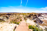 Blue Mesa Trail