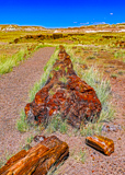 Long Logs Trail