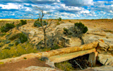 Agate Bridge