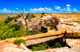 Agate Bridge
