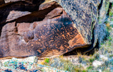Newspaper Rock