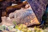 Newspaper Rock