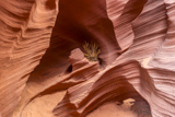 Rattlesnake Canyon