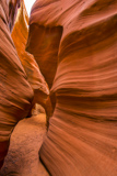 Rattlesnake Canyon