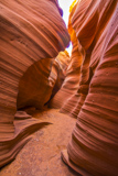 Rattlesnake Canyon