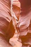 Rattlesnake Canyon