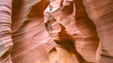 Rattlesnake Canyon