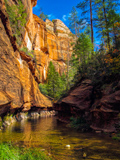 West Fork of Oak Creek Canyon
