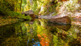 West Fork of Oak Creek Canyon