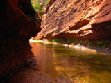 West Fork of Oak Creek Canyon