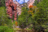 West Fork of Oak Creek Canyon