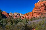 Boynton Canyon Trail