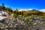 Lava's Edge Trail