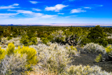 Painted Desert Vista