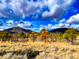 Cinder Hills Overlook