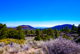 Painted Desert Vista