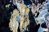 Lava Flow Trail