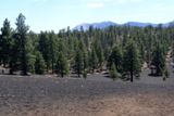 Photos/Images de Sunset Crater Volcano National Monument