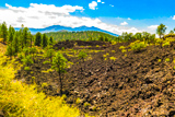Lava Flow Trail