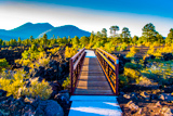 Bonito Vista Trail